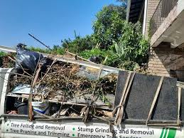 Best Demolition Debris Removal  in Frankford, DE